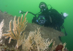 Mark on the wreck of the James Egan Layne. D200, 16mm. by Derek Haslam 